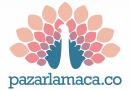 Pazarlamaca.co